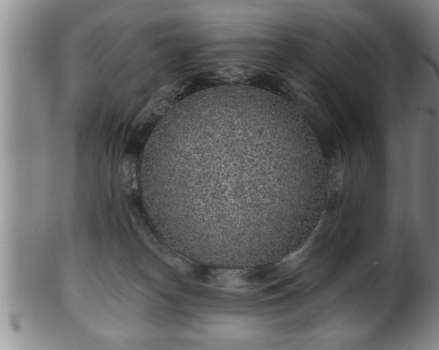 X0000102360182200808081138