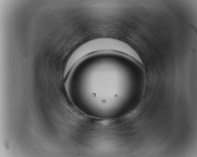 X0000102360184200808081138