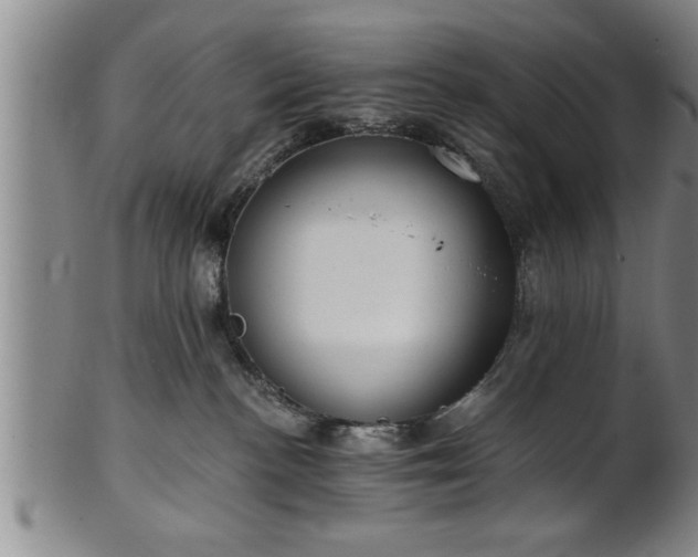 X0000102360188200808081138