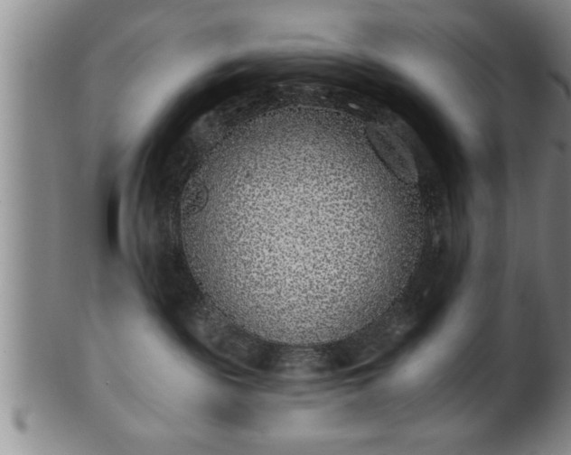 X0000102360189200808081138