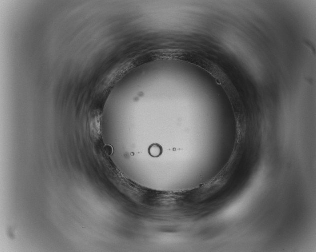 X0000102360190200808081138