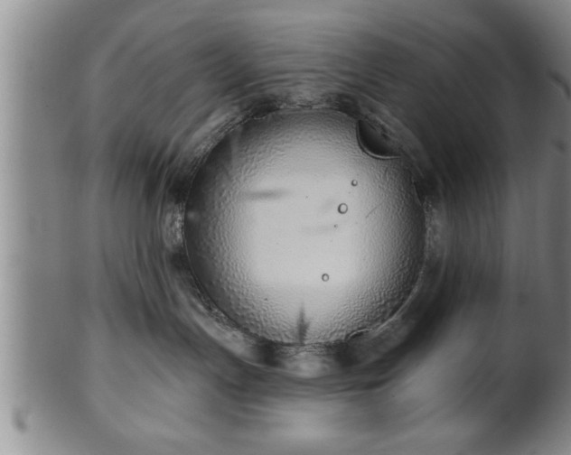 X0000102360191200808081138