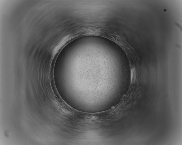 X0000102360195200808081137