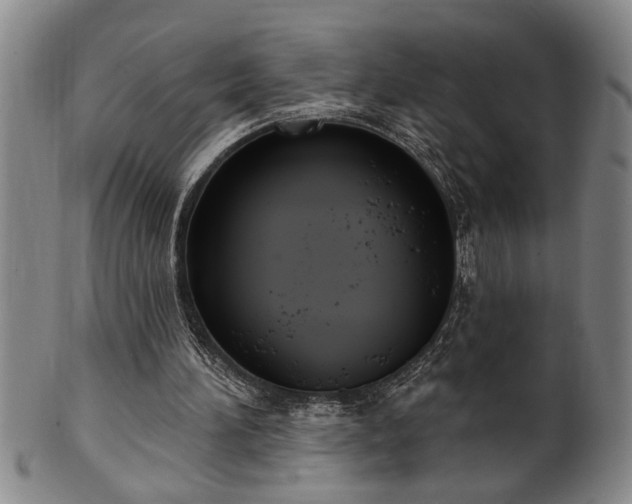 X0000102360196200808081137