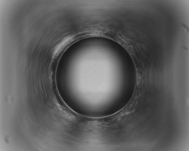 X0000102360197200808081137