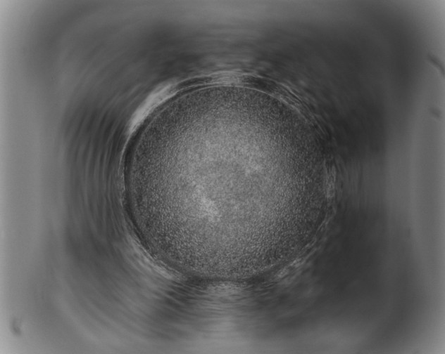 X0000102360198200808081137