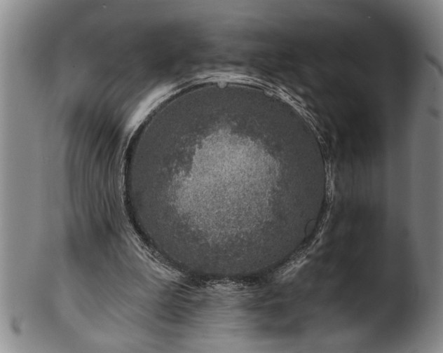 X0000102360199200808081137