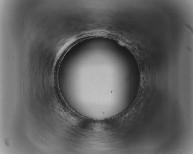 X0000102360200200808081137