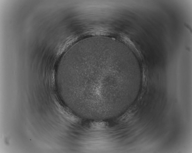 X0000102360202200808081137