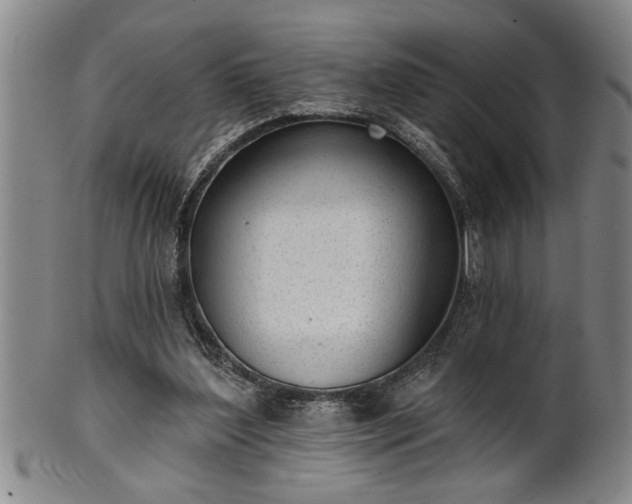 X0000102360204200808081137