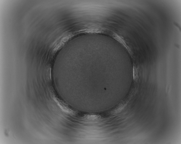 X0000102360205200808081137