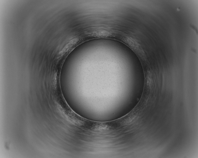 X0000102360206200808081137