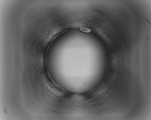 X0000102360207200808081137