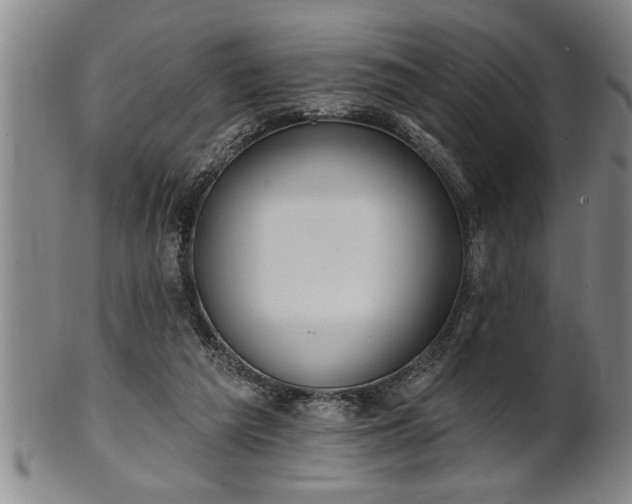 X0000102360209200808081137