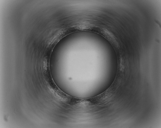 X0000102360210200808081137