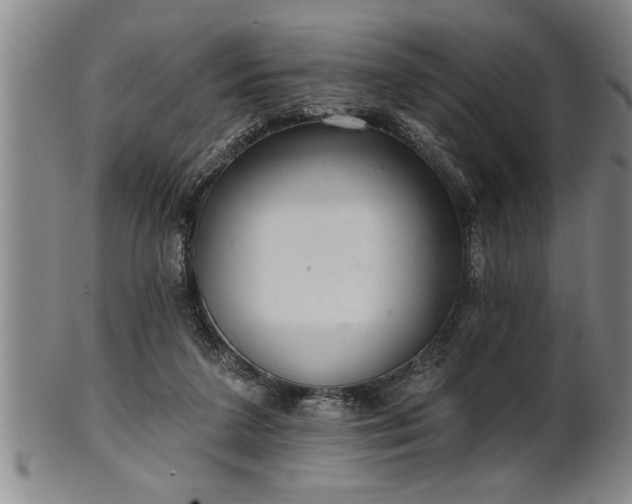 X0000102360211200808081137