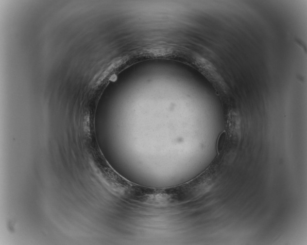 X0000102360212200808081137