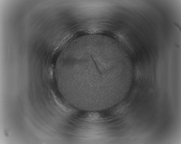 X0000102360214200808081137