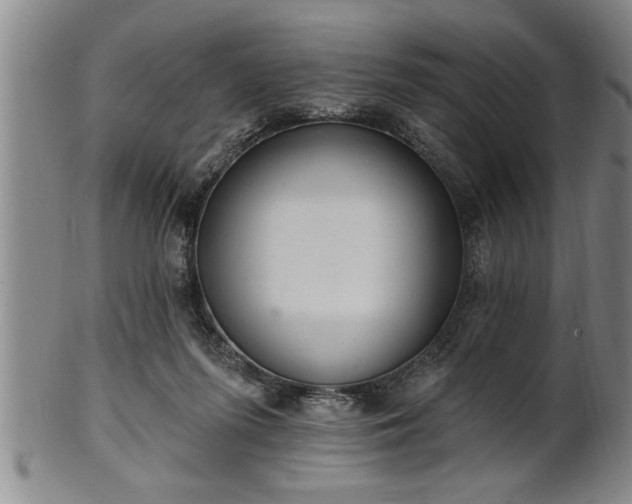 X0000102360215200808081137