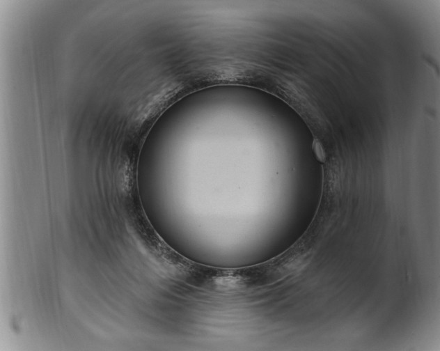 X0000102360216200808081137