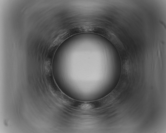 X0000102360218200808081137