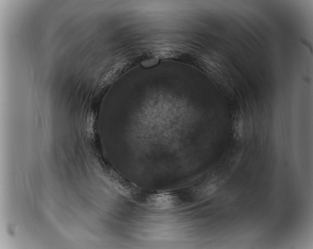 X0000102360219200808081137