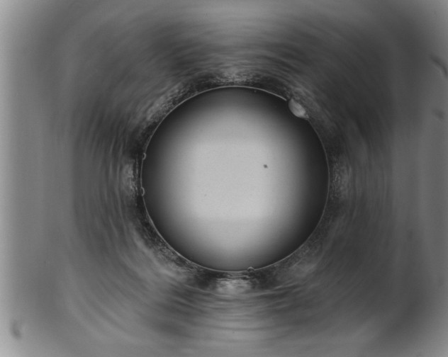 X0000102360220200808081137