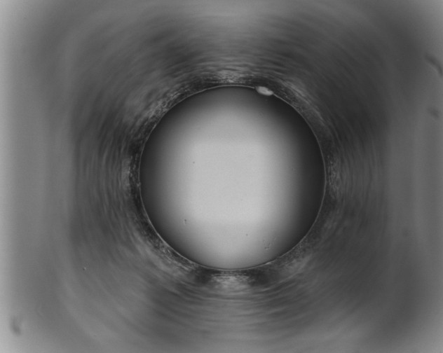 X0000102360221200808081137