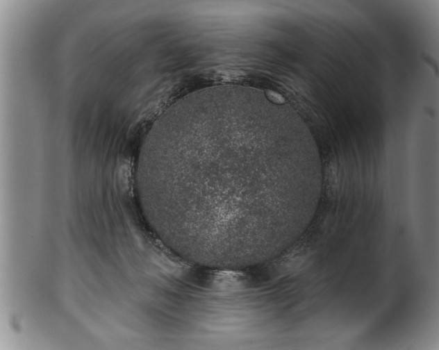 X0000102360222200808081137