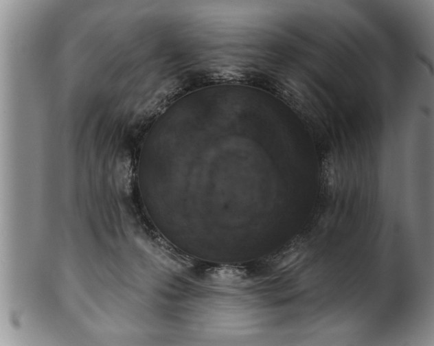 X0000102360223200808081137