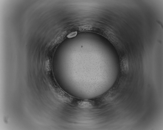 X0000102360224200808081137