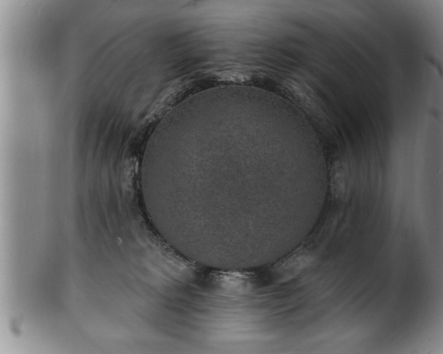 X0000102360229200808081137