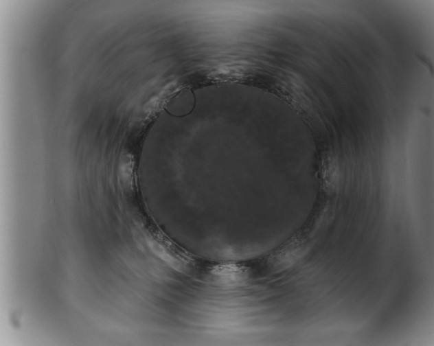 X0000102360231200808081137