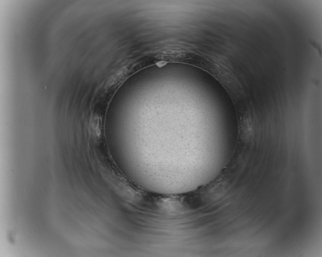 X0000102360232200808081137