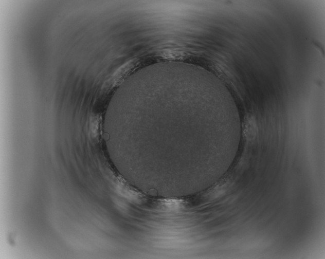 X0000102360233200808081137