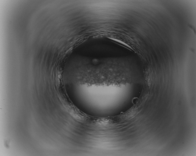 X0000102360235200808081137