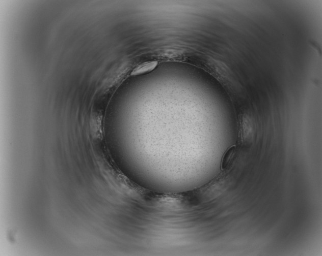 X0000102360236200808081137