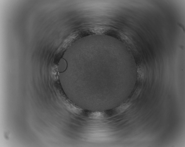 X0000102360237200808081137