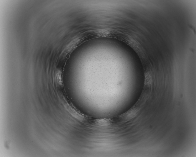 X0000102360238200808081137