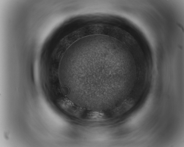 X0000102360239200808081137