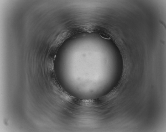 X0000102360240200808081137