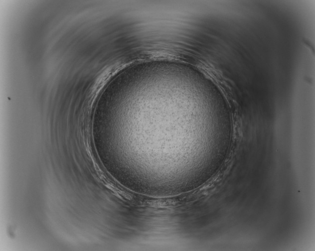 X0000102360241200808081136