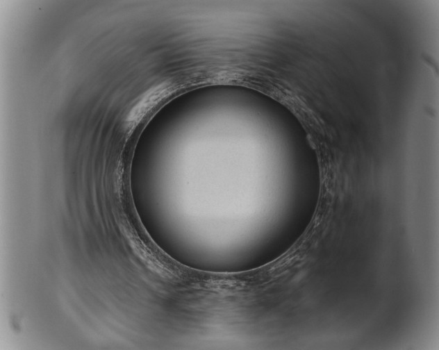 X0000102360242200808081136