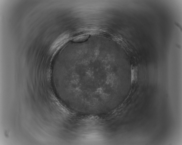 X0000102360243200808081136