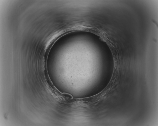 X0000102360244200808081136