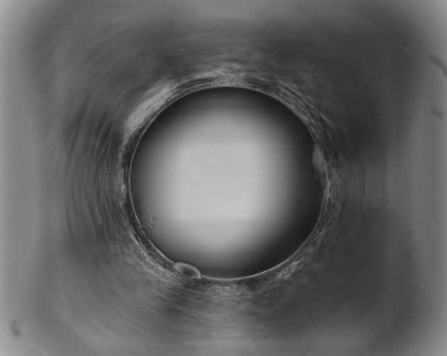 X0000102360245200808081136