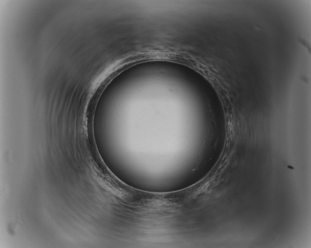 X0000102360246200808081136