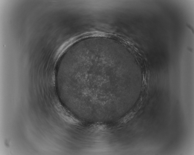 X0000102360247200808081136