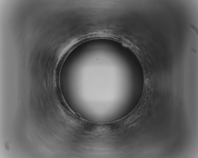 X0000102360248200808081136