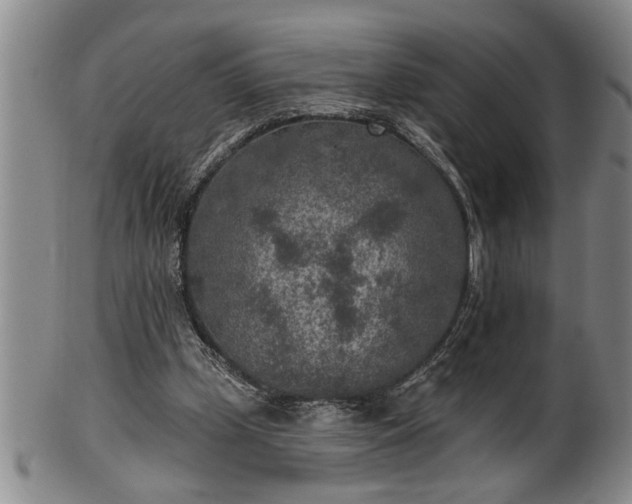 X0000102360249200808081136